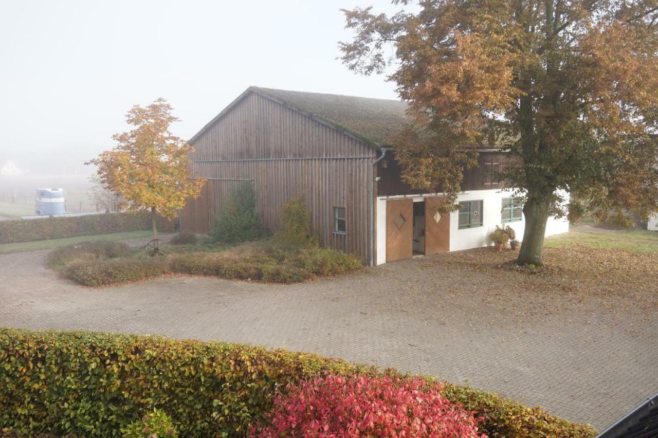 Ferienwohnung Wiesenblick Nahe Region Celle Und Hannover Buchholz Eksteriør billede