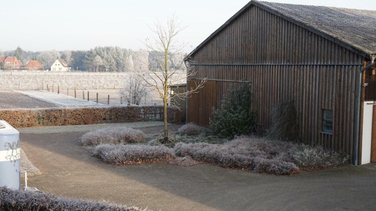 Ferienwohnung Wiesenblick Nahe Region Celle Und Hannover Buchholz Eksteriør billede